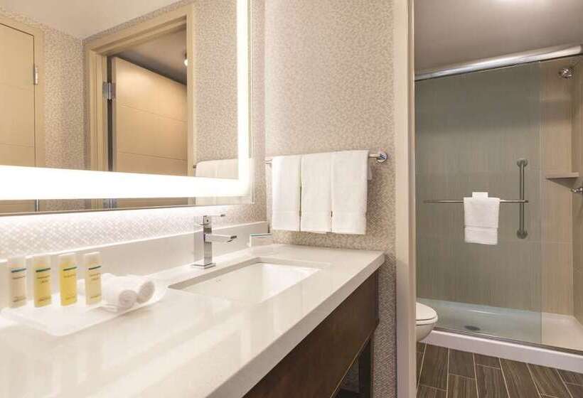 استودیو استاندارد با تخت کینگ, Home2 Suites By Hilton Charlotte Uptown, Nc