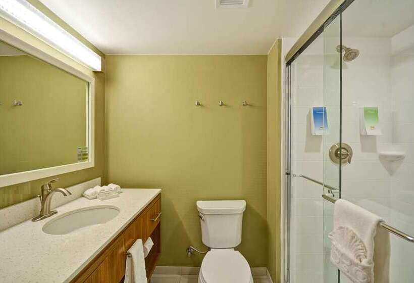 استودیو استاندارد با تخت کینگ, Home2 Suites By Hilton Charlotte Uptown, Nc
