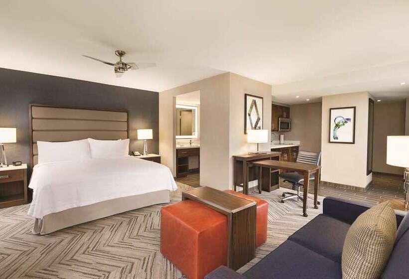استودیو استاندارد با تخت کینگ, Home2 Suites By Hilton Charlotte Uptown, Nc