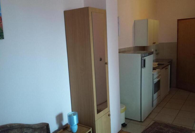 استودیوی استاندارد, Apartments & Hostel Zdrava Hrana