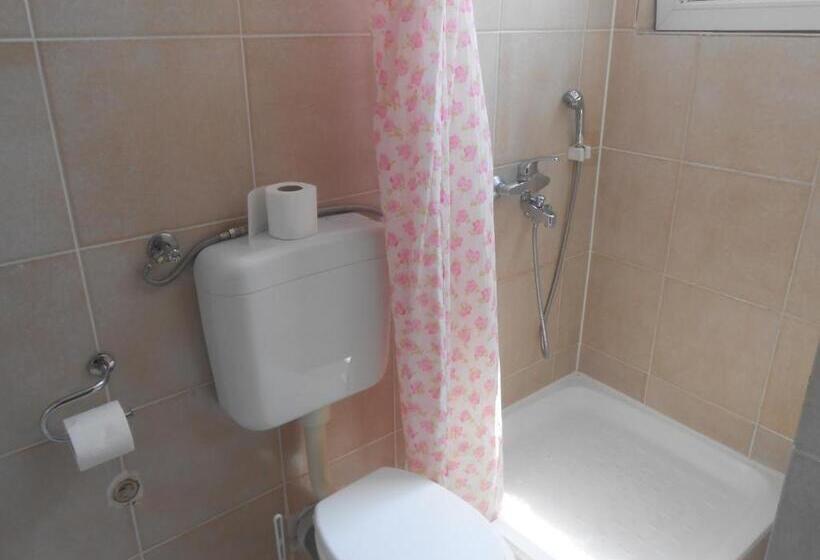 استودیوی استاندارد, Apartments & Hostel Zdrava Hrana
