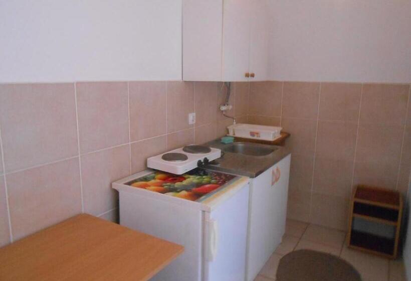 استودیوی استاندارد, Apartments & Hostel Zdrava Hrana