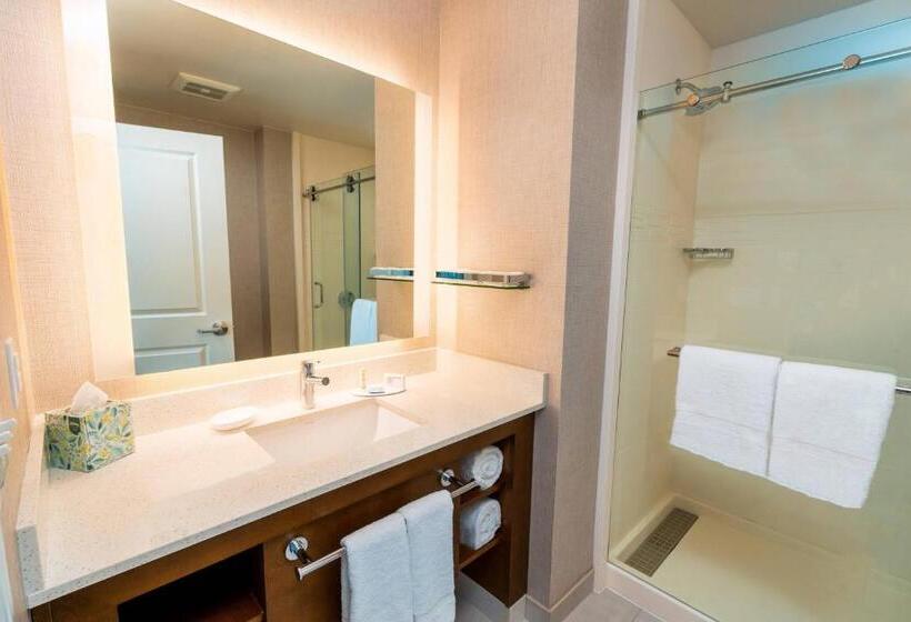 스위트 킹사이즈 침대, Residence Inn Upper Marlboro Joint Base Andrews