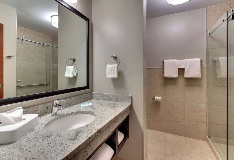 اتاق لوکس, Drury Plaza Hotel Savannah Pooler