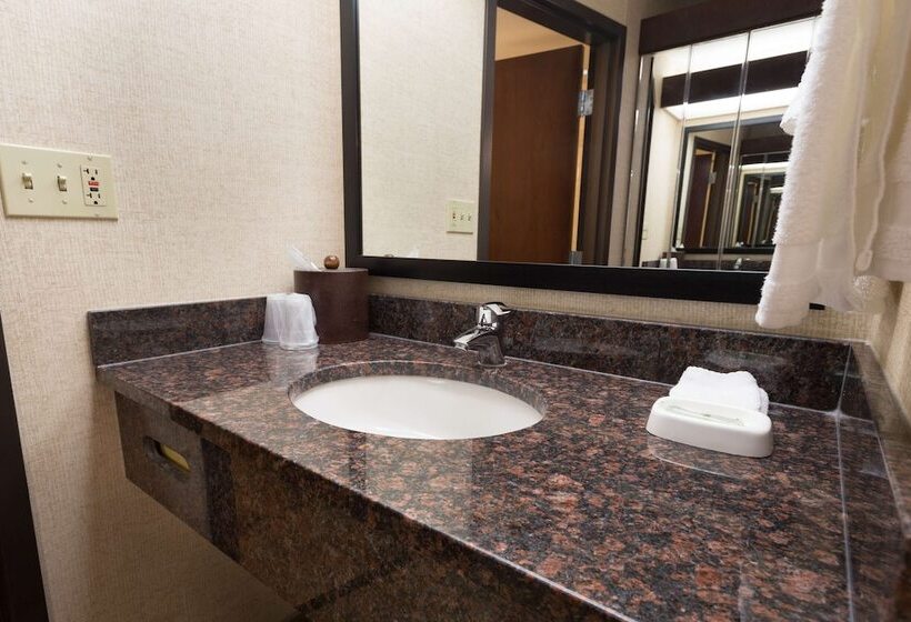 장애인용 디럭스룸, Drury Inn & Suites Champaign