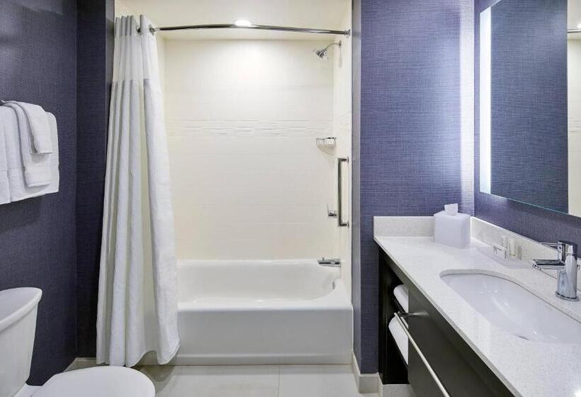 스위트 킹사이즈 침대, Residence Inn By Marriott Albany Airport
