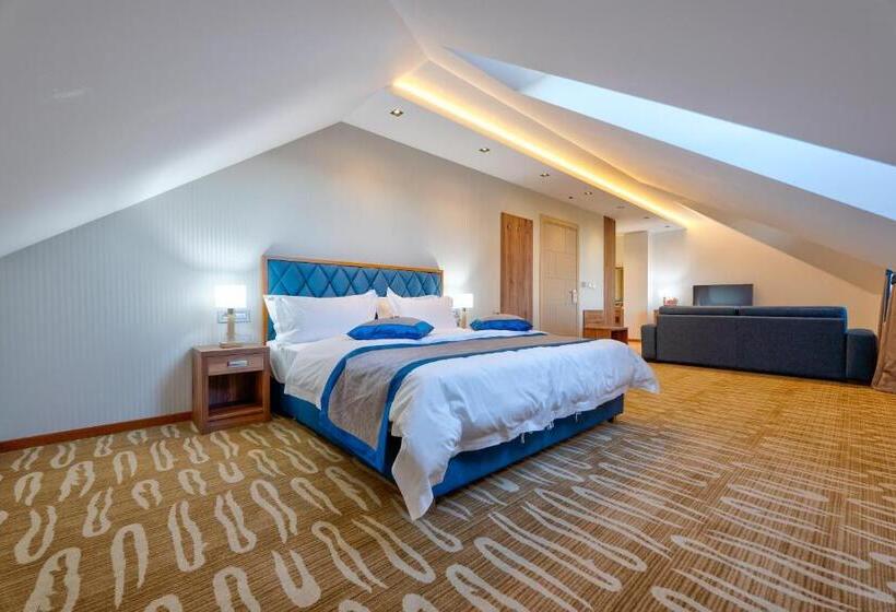 اتاق استاندارد, Buket Zlatibor