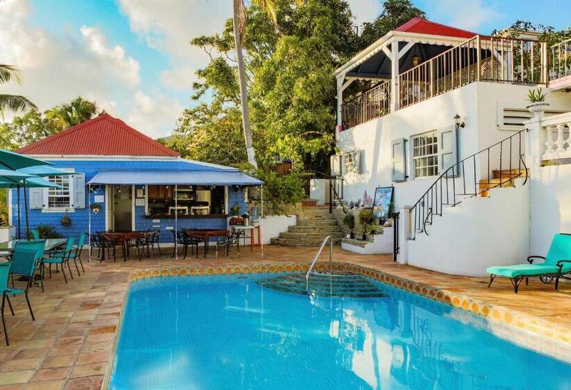 اتاق سوپریور با تخت بزرگ, Sugar Apple Bed And Breakfast