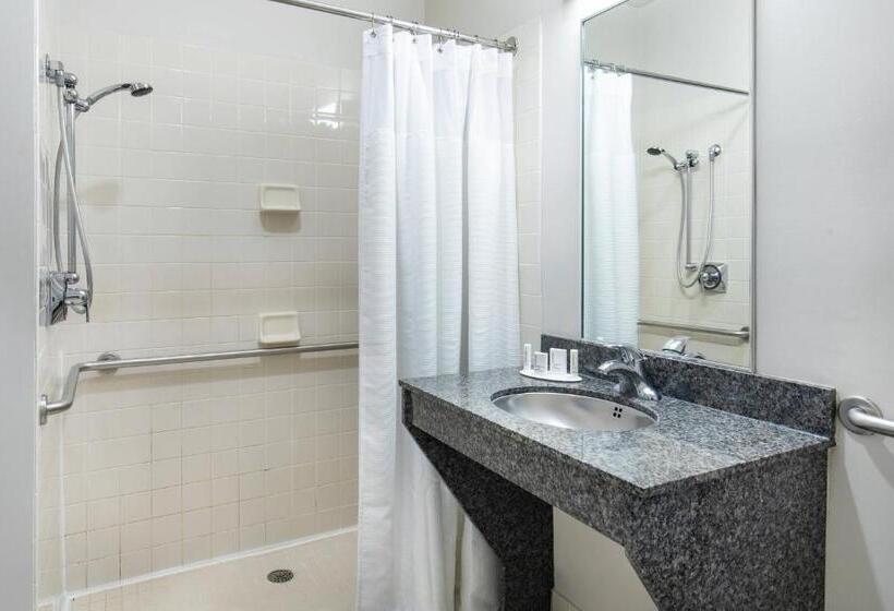 اتاق استاندارد با تخت بزرگ, Fairfield Inn & Suites Lancaster