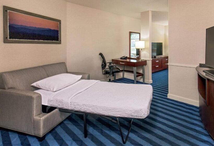 استودیو استاندارد با تخت کینگ, Fairfield Inn & Suites Lancaster