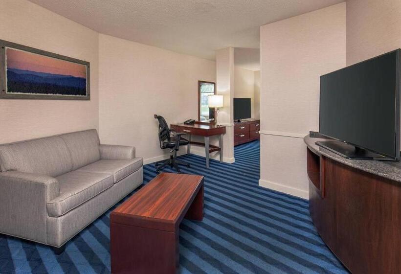 استودیو استاندارد با تخت کینگ, Fairfield Inn & Suites Lancaster