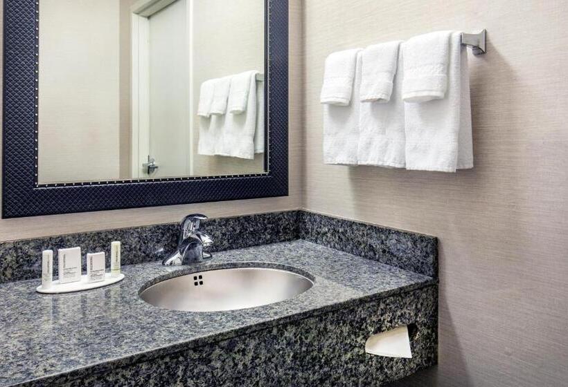 استودیو استاندارد با تخت کینگ, Fairfield Inn & Suites Lancaster