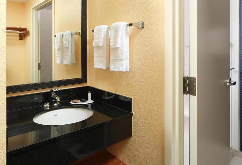 اتاق لوکس با تخت بزرگ, Fairfield Inn & Suites Raleigh Durham Airport Research Triangle Park