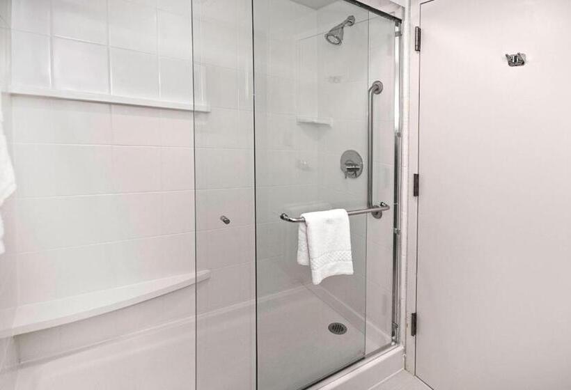 سوئیت با تخت بزرگ, Fairfield Inn & Suites Raleigh Durham Airport Research Triangle Park