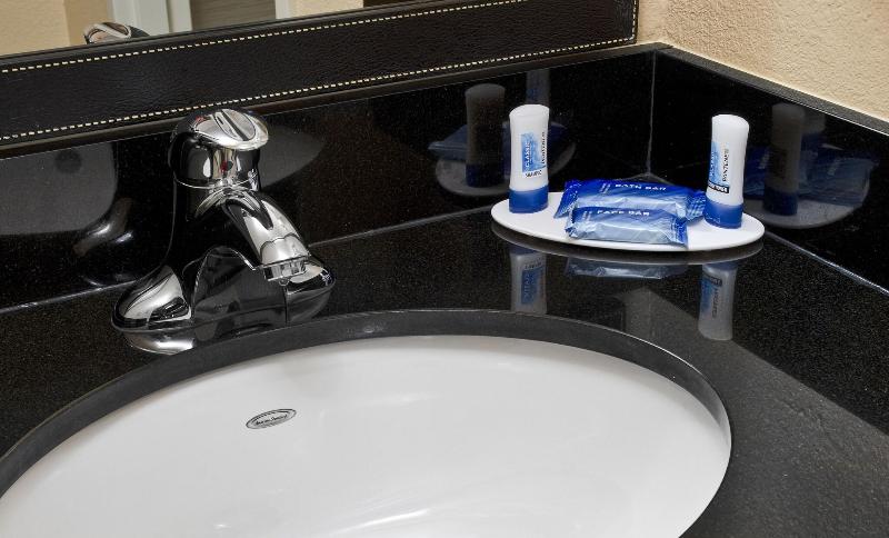 اتاق استاندارد با تخت بزرگ, Fairfield Inn & Suites Raleigh Durham Airport Research Triangle Park