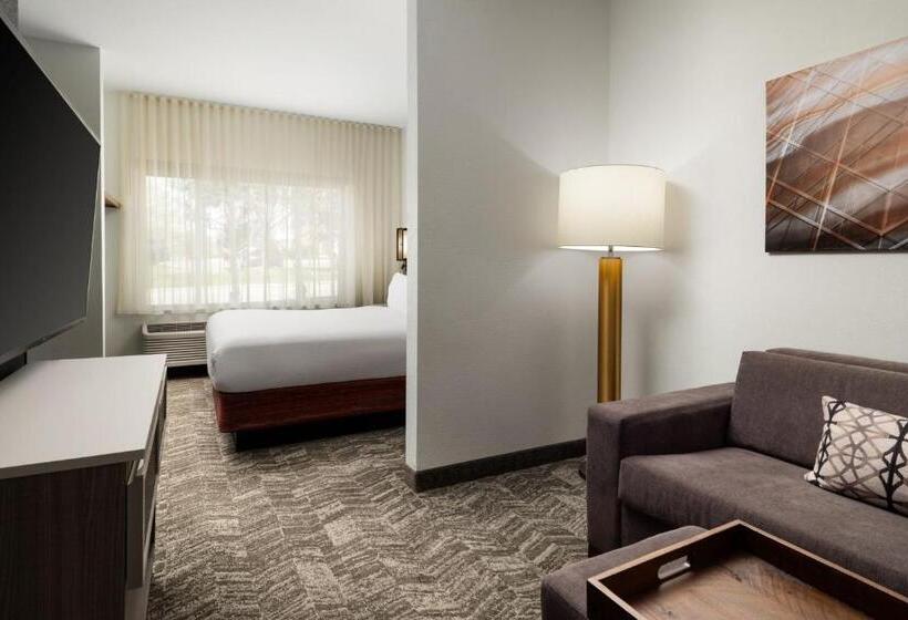 سوئیت با تخت بزرگ, Springhill Suites Kansas City Overland Park