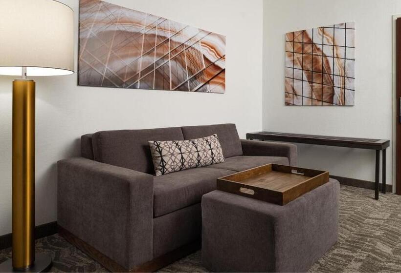 سوئیت برای معلولان, Springhill Suites Kansas City Overland Park