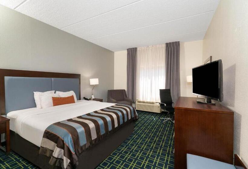 اتاق استاندارد با تخت بزرگ, Wingate By Wyndham Fletcher At Asheville Airport