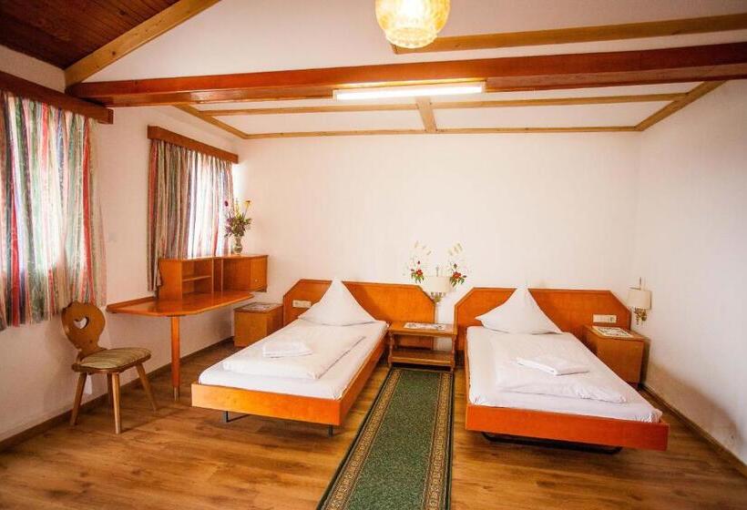 Quarto Estandar, Casa Cerbului1