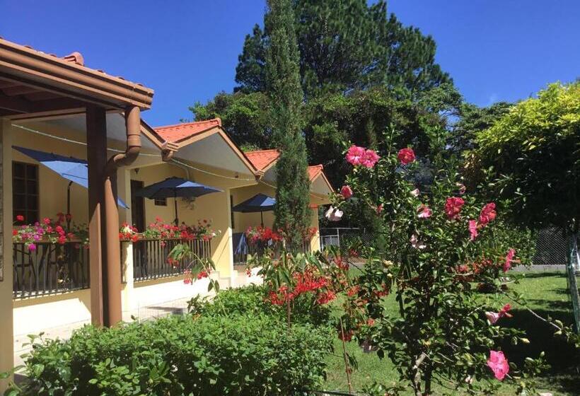 标准间带露台, Aparthotel Boquete Apartments