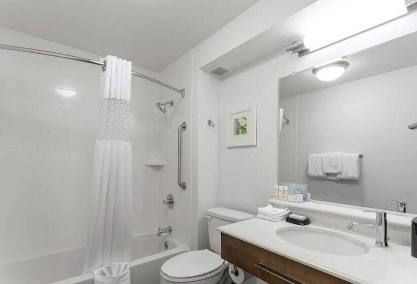 اتاق استاندارد با 2 تخت دوبل, Hampton Inn Bloomington