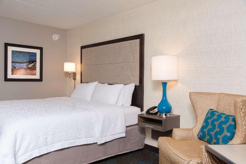 اتاق لوکس با تخت بزرگ, Hampton Inn Bloomington