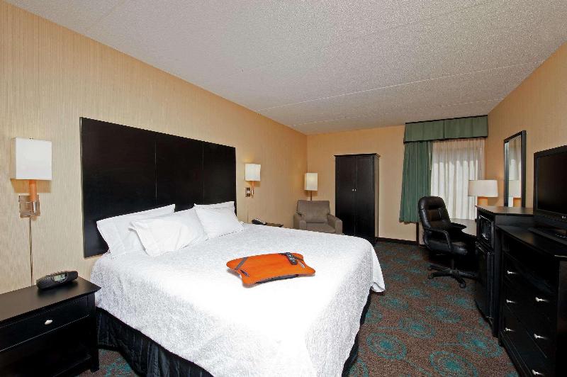 اتاق لوکس با تخت بزرگ, Hampton Inn Bloomington