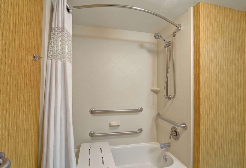חדר סטנדרט, Hampton Inn Jacksonvilledowntowni95