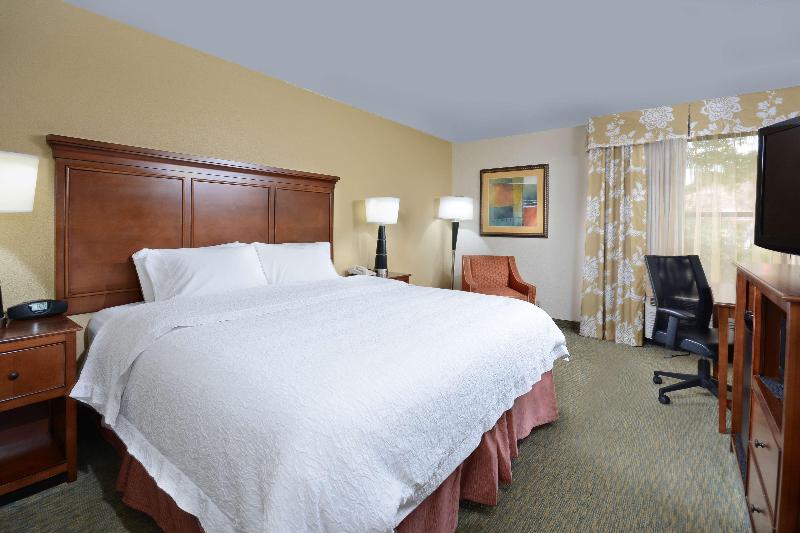 اتاق استاندارد با تخت بزرگ, Hampton Inn Raleigh Durham Airport