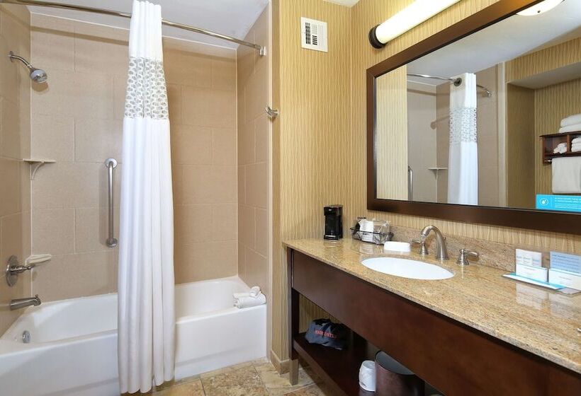 장애인을 위한 스탠다드 룸, Hampton Inn & Suites Tucson Mall