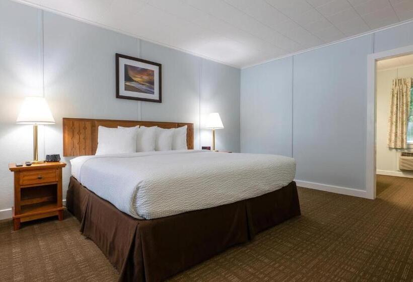 חדר דחוקס עם מיטת קינג, Highbrook Motel
