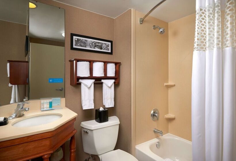 标准间, Hampton Inn Ann Arborsouth