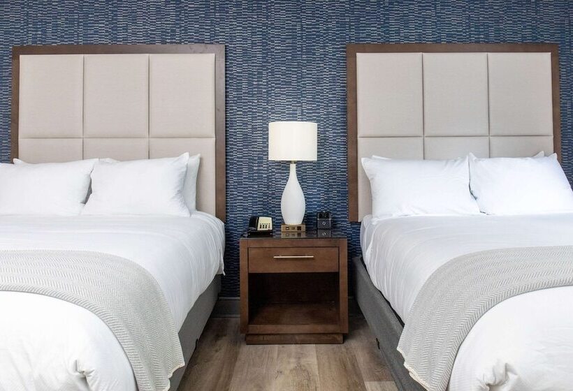 سوییت لوکس, Haywood Park Hotel, Ascend Hotel Collection