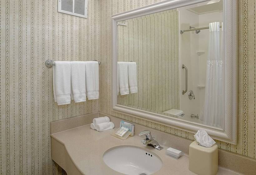 Номер Deluxe, Hilton Garden Inn Chesterfield