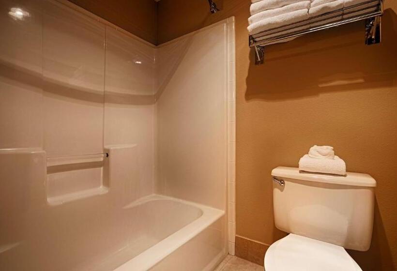 스탠다드 룸 킹사이즈 침대, Best Western Plus Prairie Inn