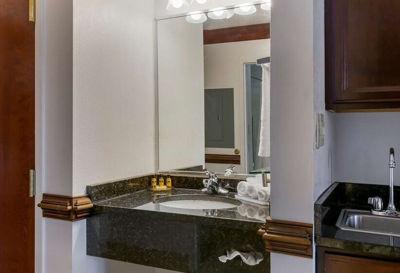 Люкс с гидромассажем, Best Western Plus South Hill Inn