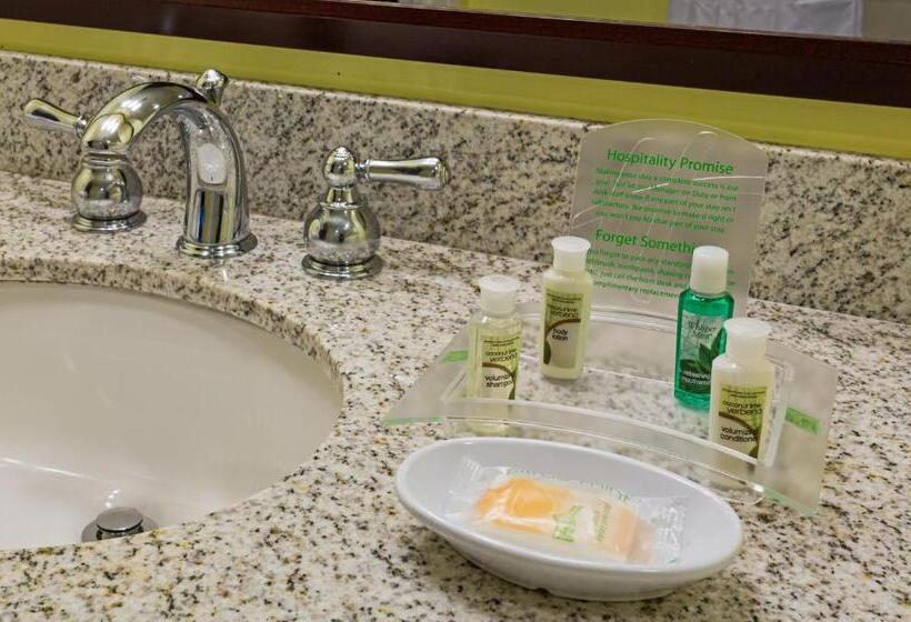 סוויטה דלוקס, Holiday Inn Hotel French Quarter Chateau Lemoyne, An Ihg