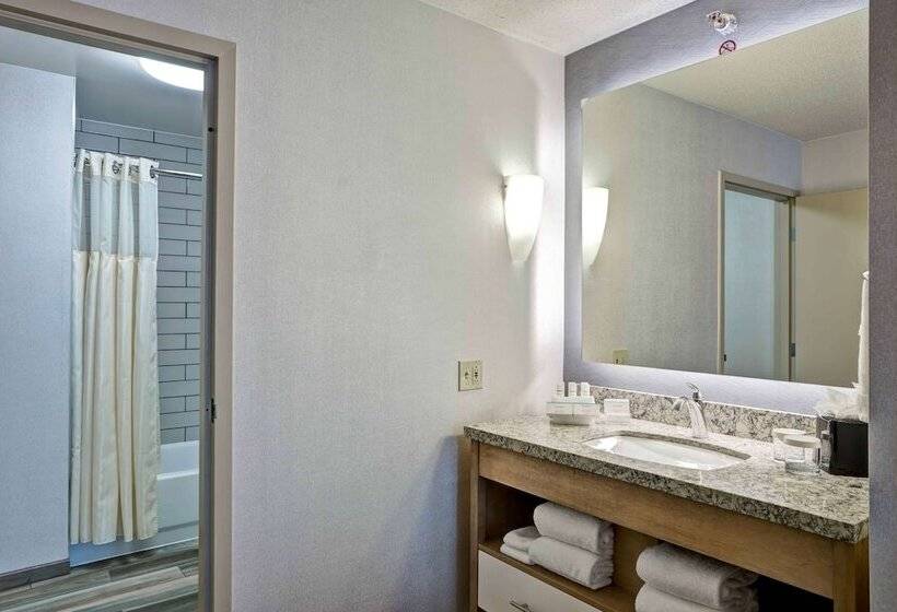 Premium Suite, Homewood Suites By Hilton Chicagodowntown