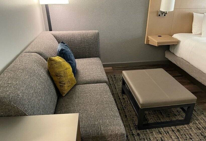 اتاق استاندارد برای معلولان, Hyatt Place Tulsa/downtown