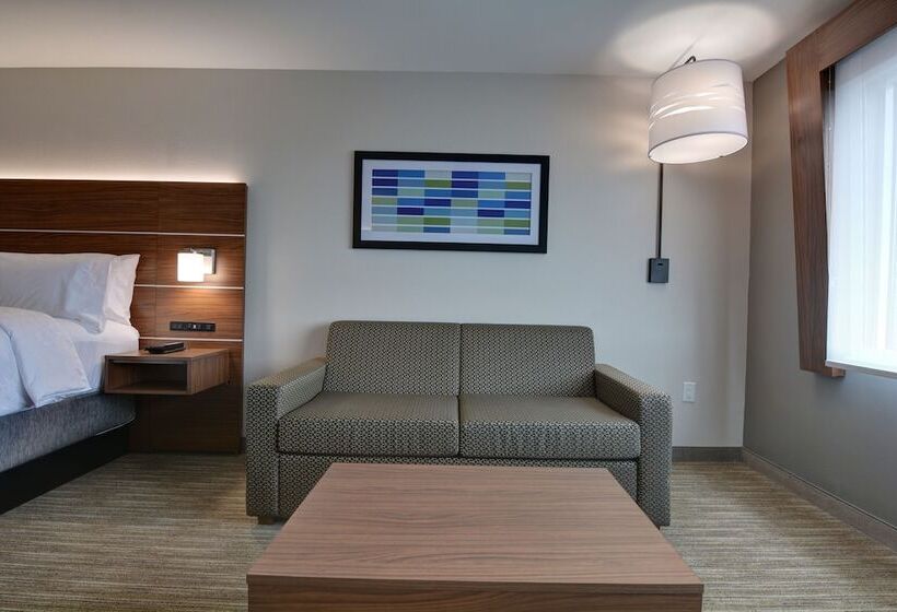 套房, Holiday Inn Express & Suites   Greenville   Taylors, An Ihg