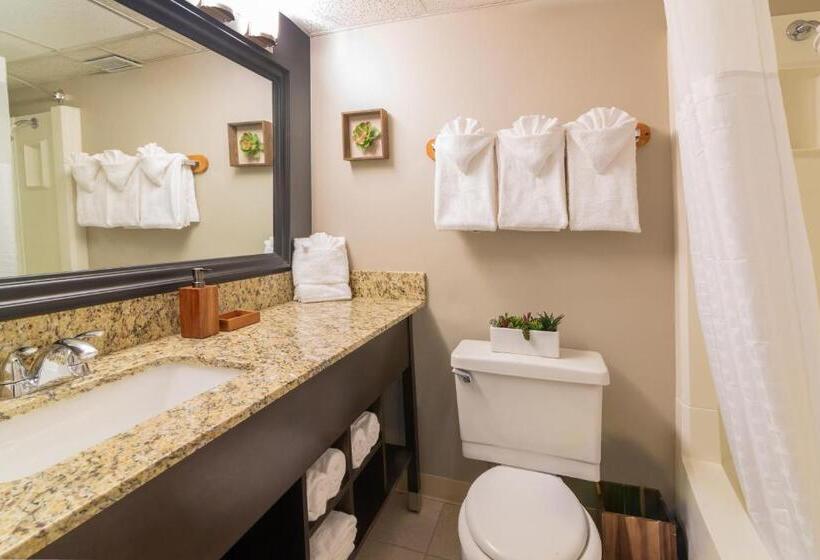 Номер Стандарт, Expedition Lodge Estes Park