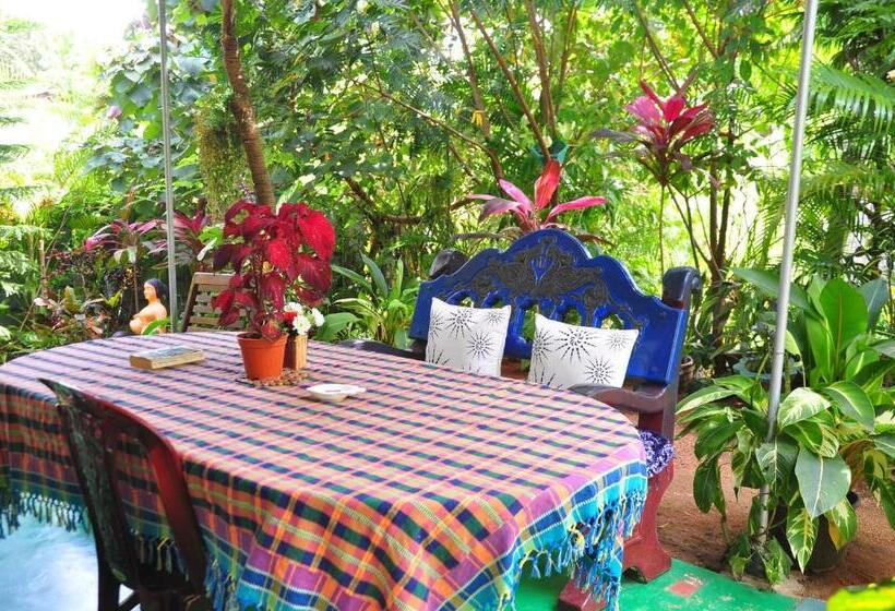 اتاق خانوادگی, Another World Hostel Sigiriya