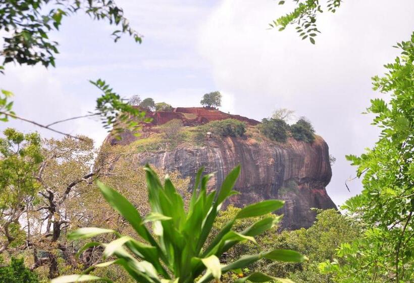 اتاق لوکس, Another World Hostel Sigiriya