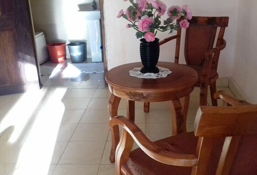 استودیو کامفورت, Le Tournesol