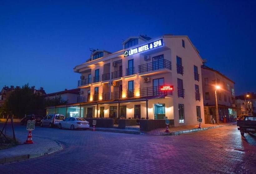 اتاق اکونومی, Lidya