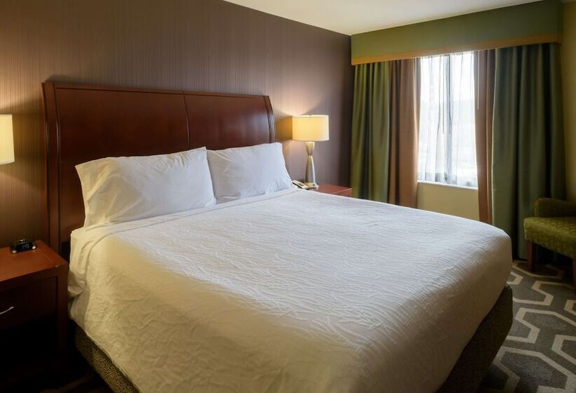 Номер Стандарт Двуспальная Кровать, Hilton Garden Inn Kennett Square