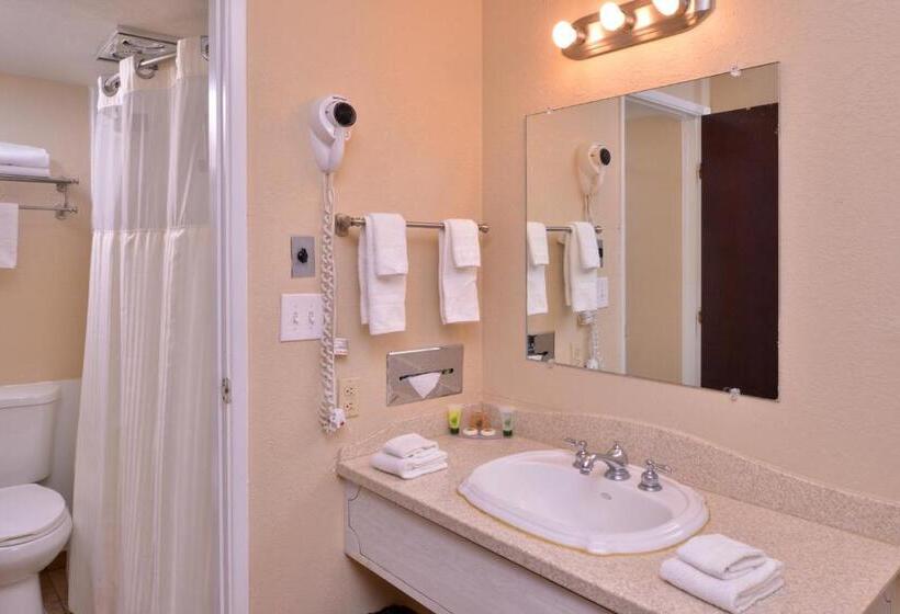 Номер Стандарт, Maverick Motel   Modern Renovated Motel