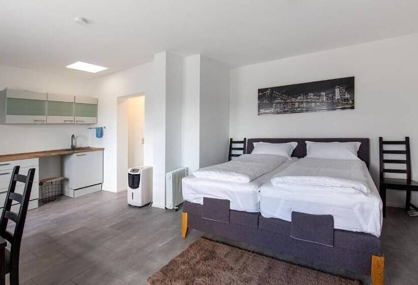 اتاق کلاسیک با تخت دوبل, Area24i7 Europaplatz Apartment