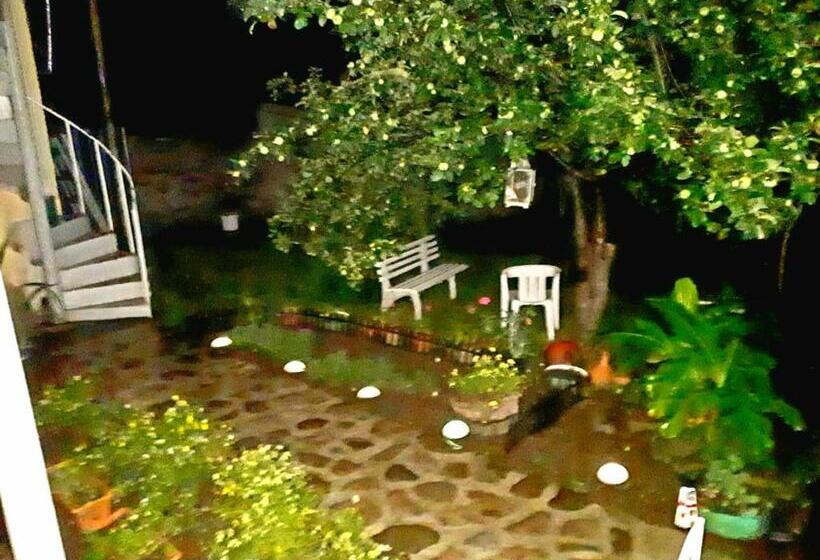اتاق لوکس با بالکن, Odo's House In Tsinandali