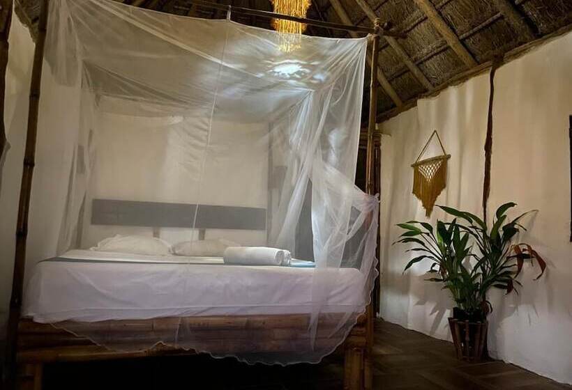 اتاق لوکس, Pancho Villa Tulum